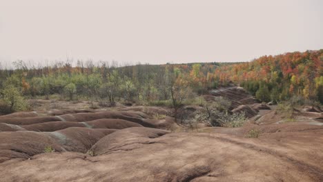 View-Of-Red-Clay-Soil-Formation-With-Colorful-Autumn-Foliage-Landscape-At-Cheltenham-Badlands,-In-Caledon,-Ontario-Canada