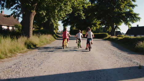 children biking down a country road