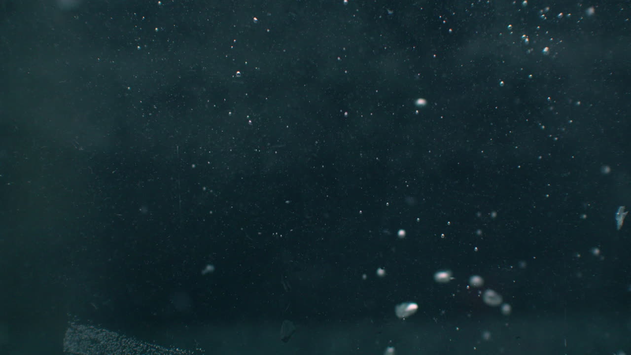 un tomate rojo cae en el agua y vuela bajo el agua con burbujas.