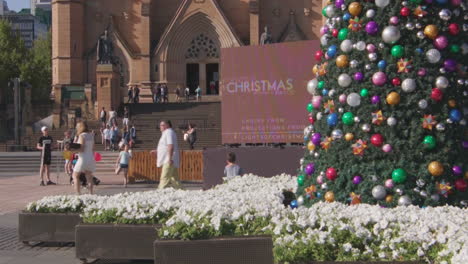 epic pan down cathederal in sydney with a well decorated christmas tree infront.