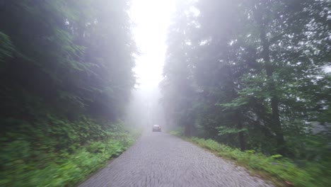 Fahren-Auf-Einer-Nebligen-Und-Bezaubernden-Waldstraße.