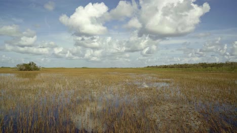 Toma-Inclinada-De-Los-Impresionantes-Everglades-De-Florida-Cerca-De-Miami-En-El-Medio-En-Un-Hidrodeslizador-Con-Las-Tranquilas-Aguas-Del-Pantano-Reflejando-El-Cielo-Y-Creando-Un-Espejismo-Rodeado-De-Hierba-Alta-En-Un-Día-Soleado.