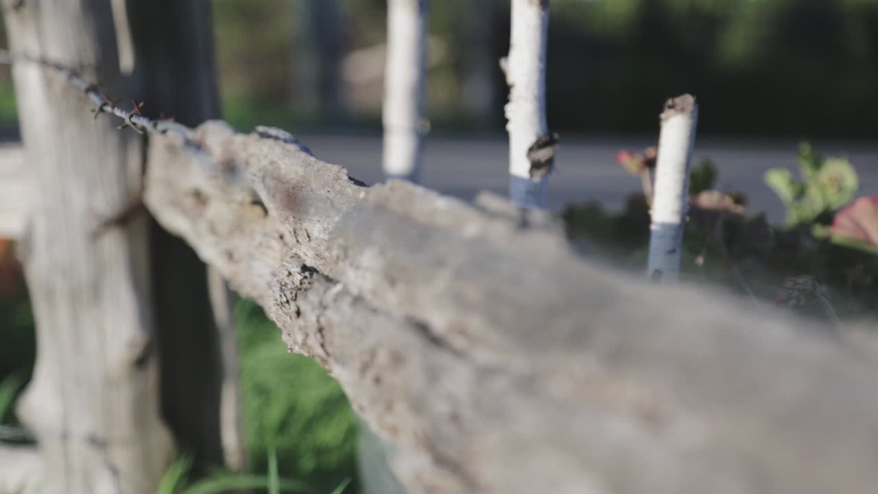 시골 철조망 울타리의 랙 초점