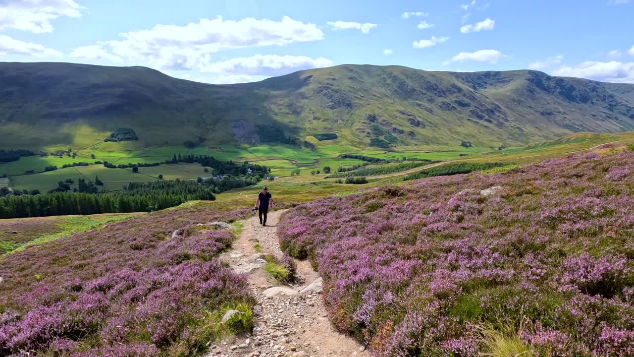 A lone hiker walks down a winding trail through blooming heather on a sunlit hillside, with panoramic views of Loch Brandy and surrounding mountains