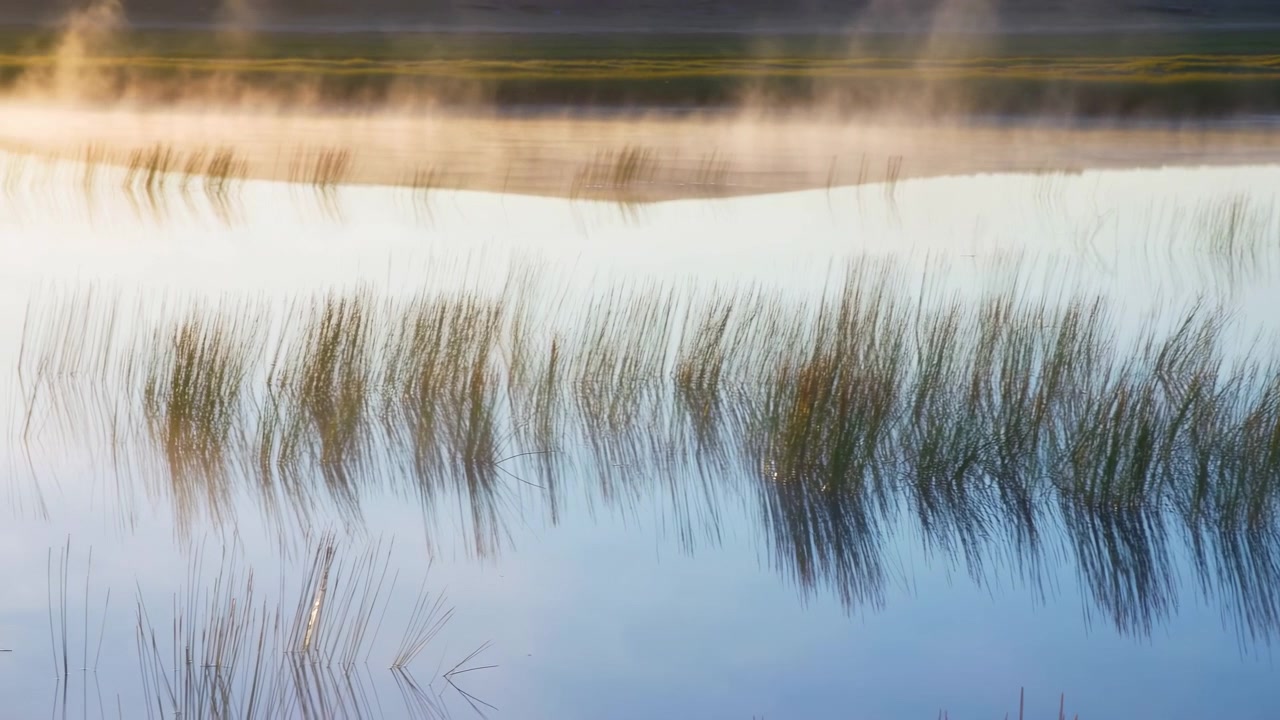 Nebelverhangenes Marschgras im Wasser gespiegelt, Morgenlicht wirft goldenen Dunst und dünnen Dampf, hohes Schilf wiegt sich