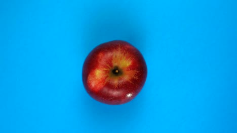 rotación de primer plano de la manzana roja fresca girando en fondo azul
