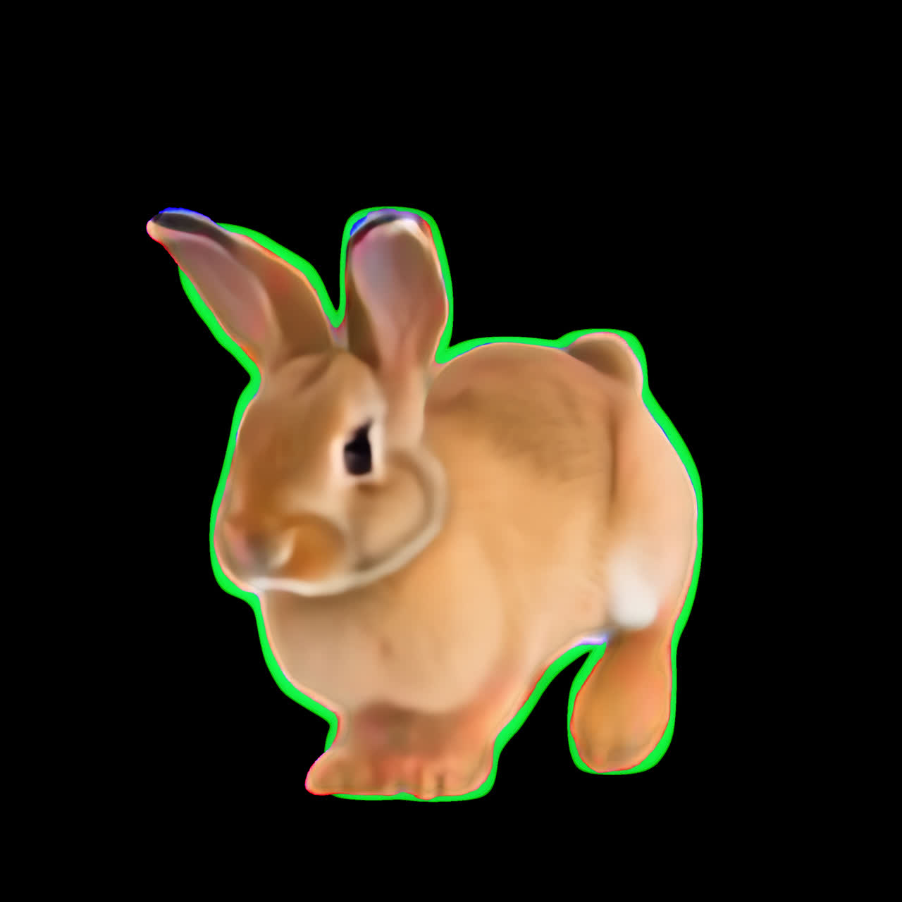 Adorable rabbit with fluffy fur animation isolated asset, transparent 4K video, alpha channel