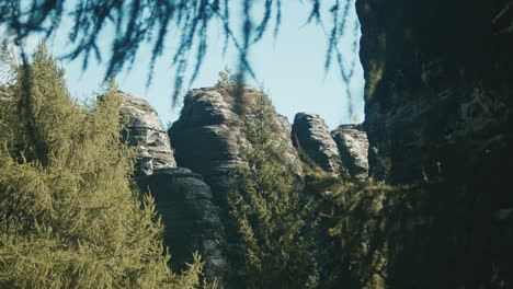 View through trees to stone outcroppings near Vrchlabí, Czechia