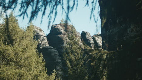 view through trees to stone outcroppings near vrchlabí, czechia