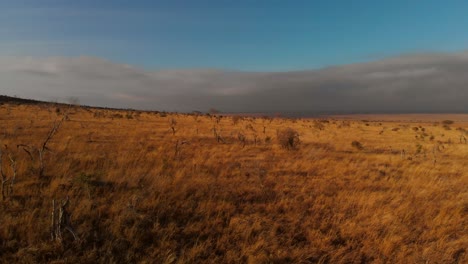 Eine-Große-Ebene-Mit-Einer-Kleinen-Zebraherde-In-Tsavo-West,-Kenia