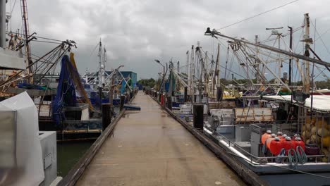 commercial fishing boats moored at a wharf and dock