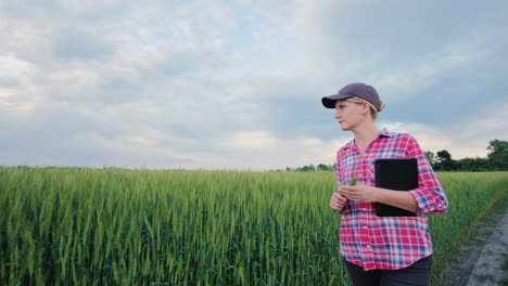 una agricultora con una tableta camina por un campo de trigo verde