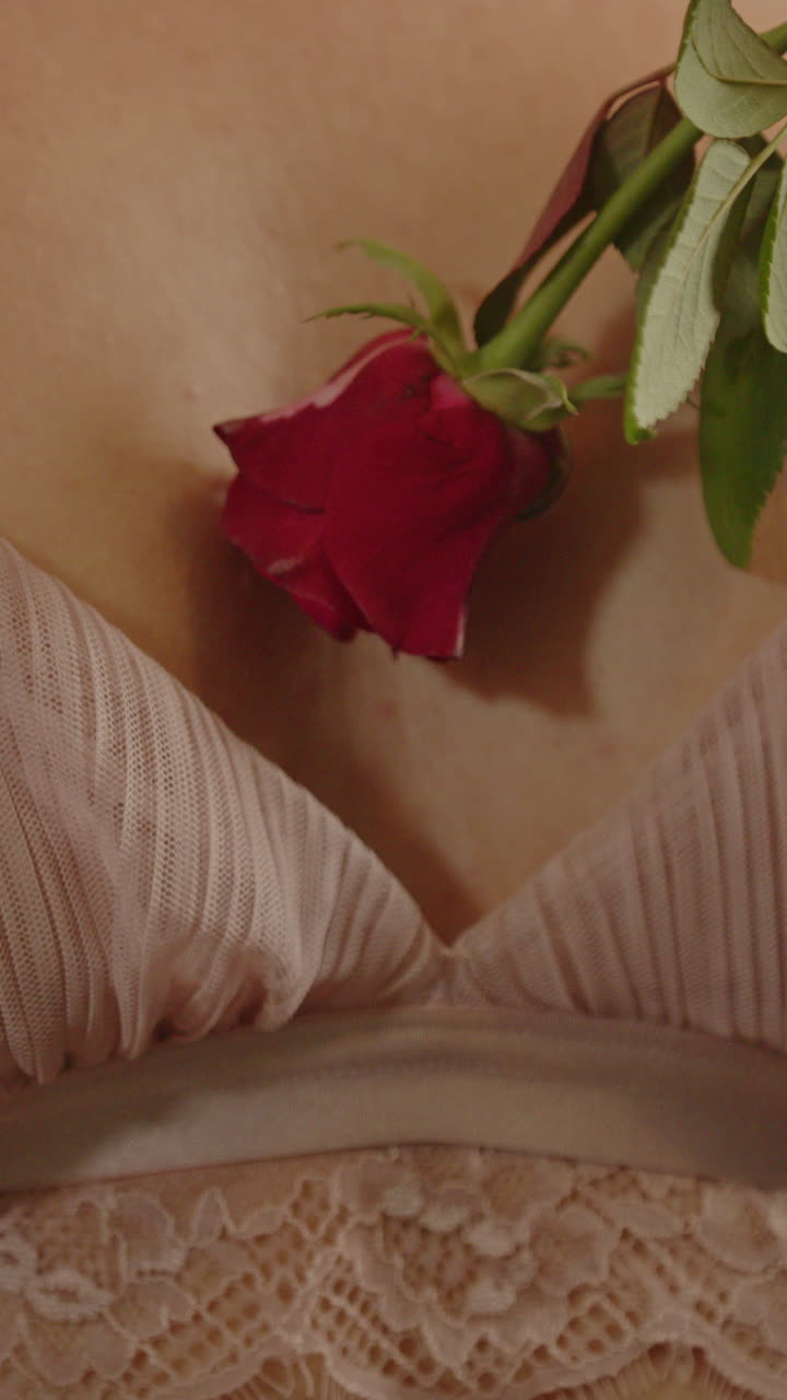 Splendido primo piano verticale di una rosa rossa che sfiora il corpo di una bella donna bionda al rallentatore.