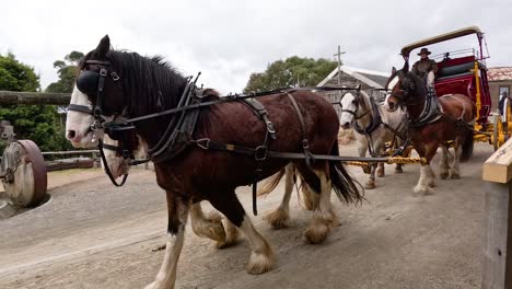 historic carriage ride through old town