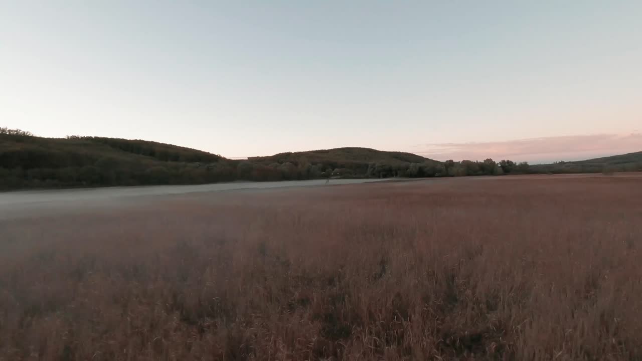 imágenes aéreas de drones que representan humedales brumosos cerca del lago balaton en hungría