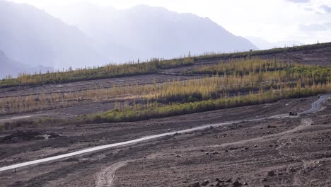 aerial drone shot following a car driving along the winding mountain roads of ladakh, surrounded by rugged terrain.