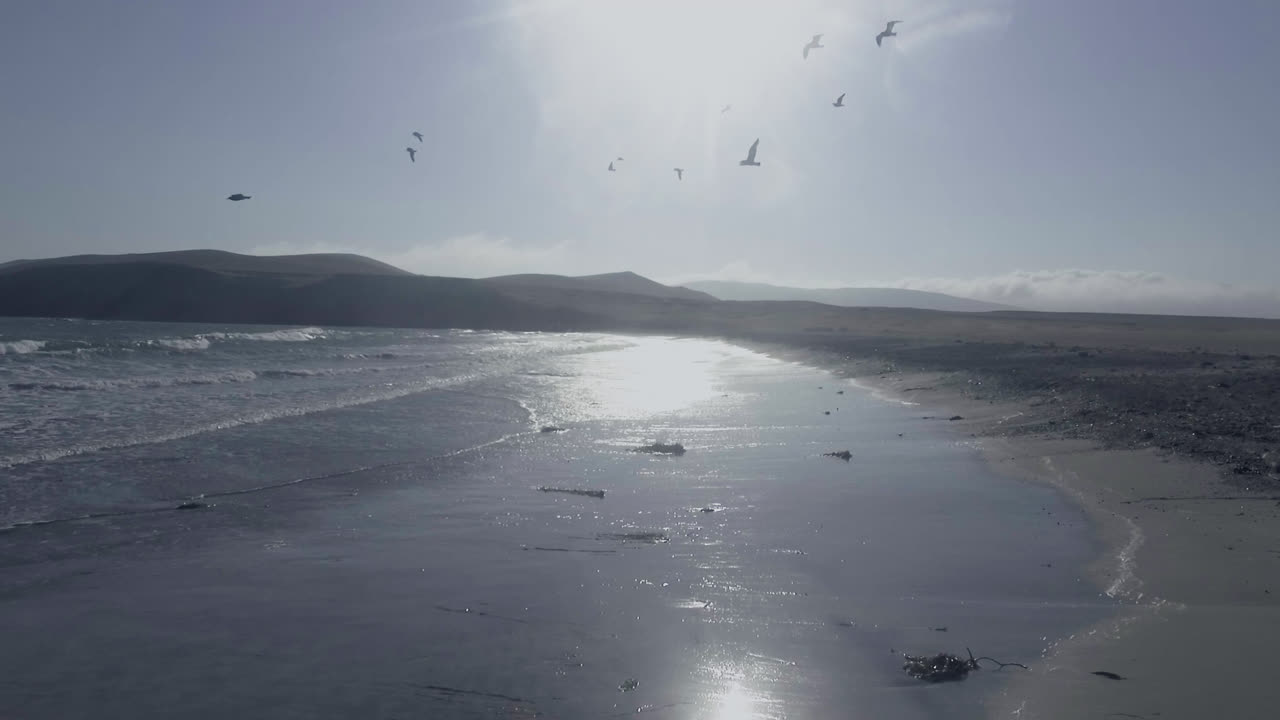 낮 동안 갈매기가 날아다니는 동안 외로운 해변의 해안을 따라 날아다니는 아름다운 드론 줌아웃 샷