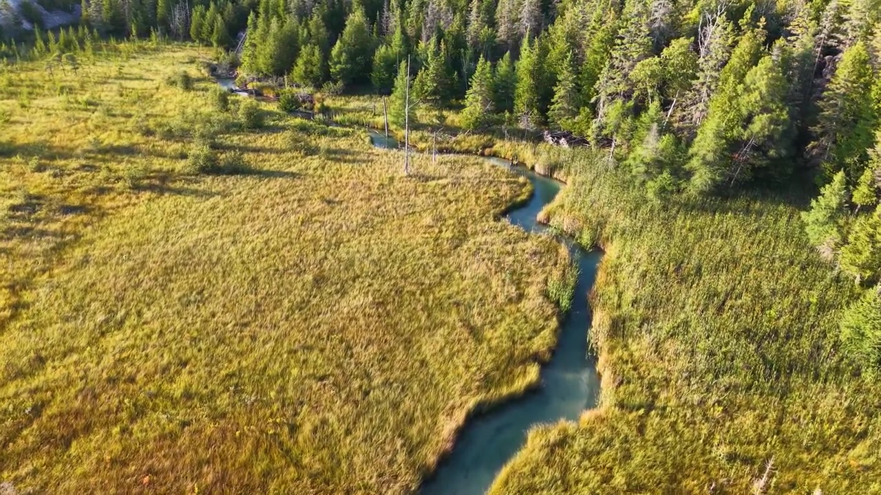 Luftfoto af en bugtende flod i et vildnisområde nær Hessel, Michigan, omgivet af træer og underskov.