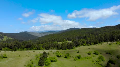 Hermoso-Paisaje-De-Montaña-Con-Prados-Verdes-Y-Bosques-De-Pinos-En-El-Cielo-Azul-Y-Fondo-De-Nubes-Blancas