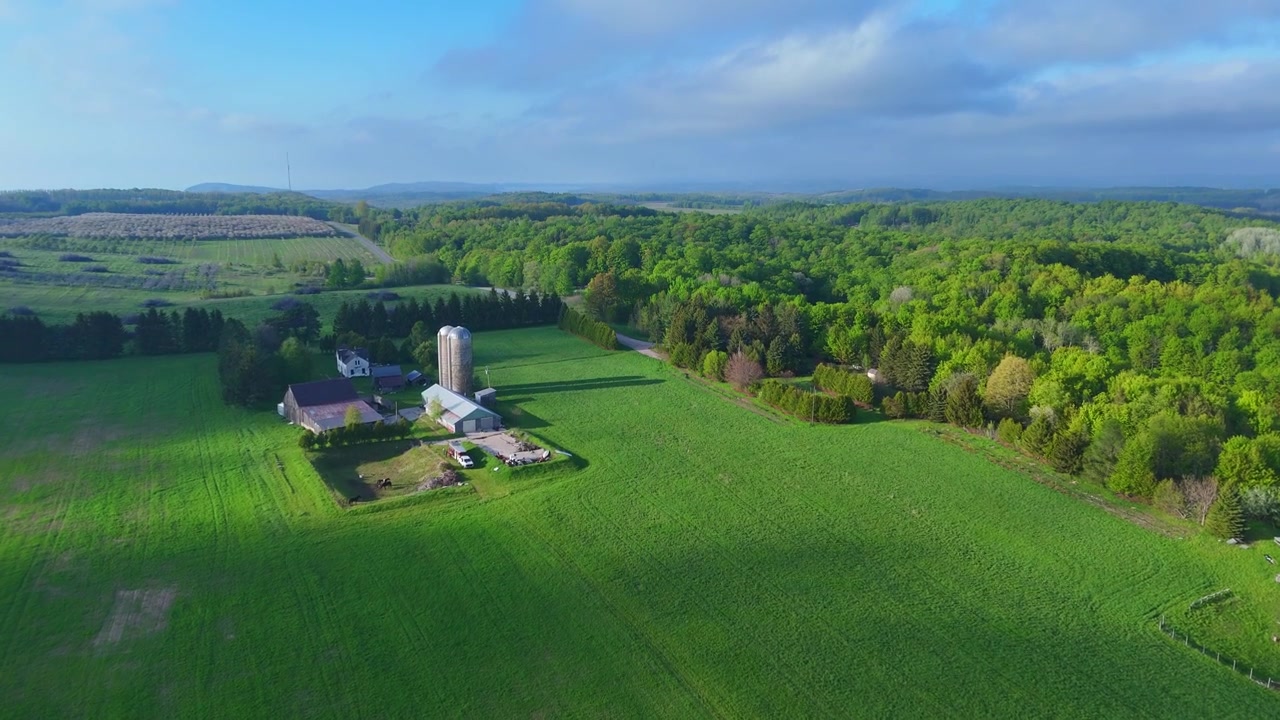 Smukt luftfoto af en gård i Leelanau County, Michigan, med heste på en mark.