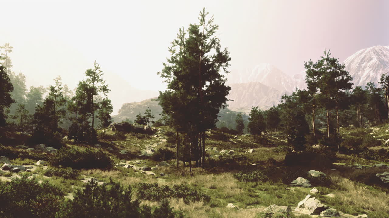 Scenic mountain landscape with pine trees and rocky terrain at sunset