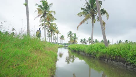 A-traveler-walking-through-a-coconut-grove,-And-the-sky-is-about-to-rain,-A-canal-running-through-the-middle-of-the-coconut-grove