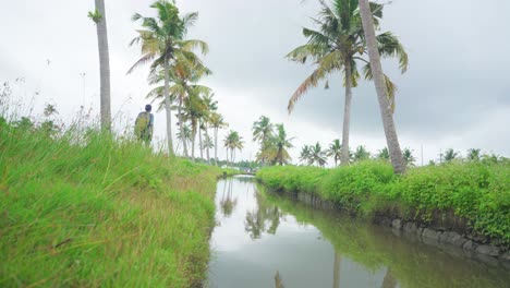 a traveler walking through a coconut grove, and the sky is about to rain, a canal running through the middle of the coconut grove
