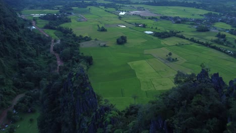 aerial view of rice fields and mountains in laos