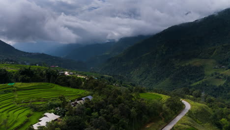 Rice-terraces-contouring-the-hilly-valley,-Sapa,-north-Vietnam