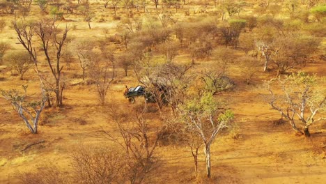 excellent aerial of a safari jeep traveling on the plains of africa at erindi game preserve namibia with native san tribal spotter guide sitting on front spotting wildlife