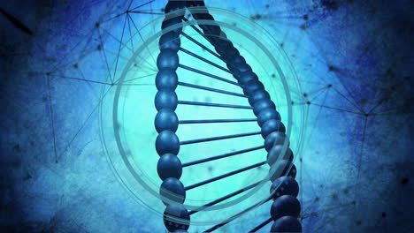 animation of network of connections over dna strand spinning