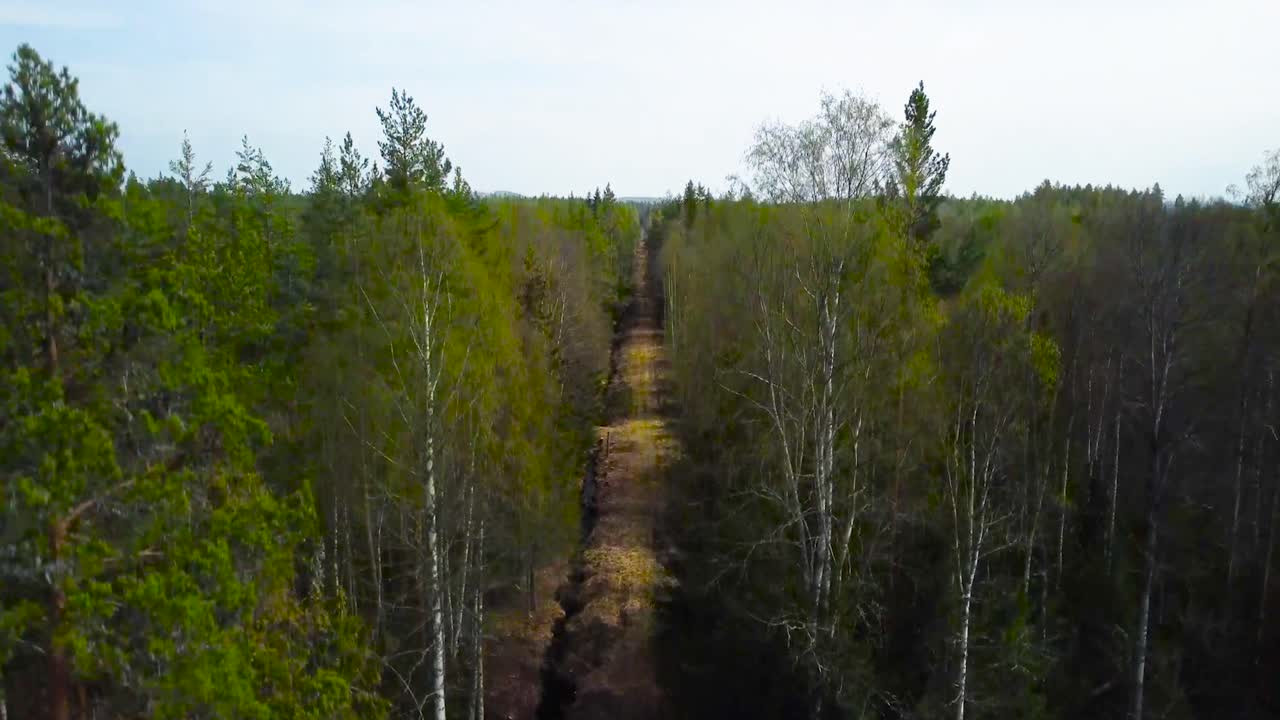 Aerial drone footage ascending and flying higher in front of a rural desolate muddy road in the middle of a dense forest that has birch and pine trees. revealing footage shows horizon and Sweden woods