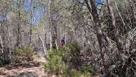 Young-woman-hiking-in-slow-motion-in-pine-trees-forest