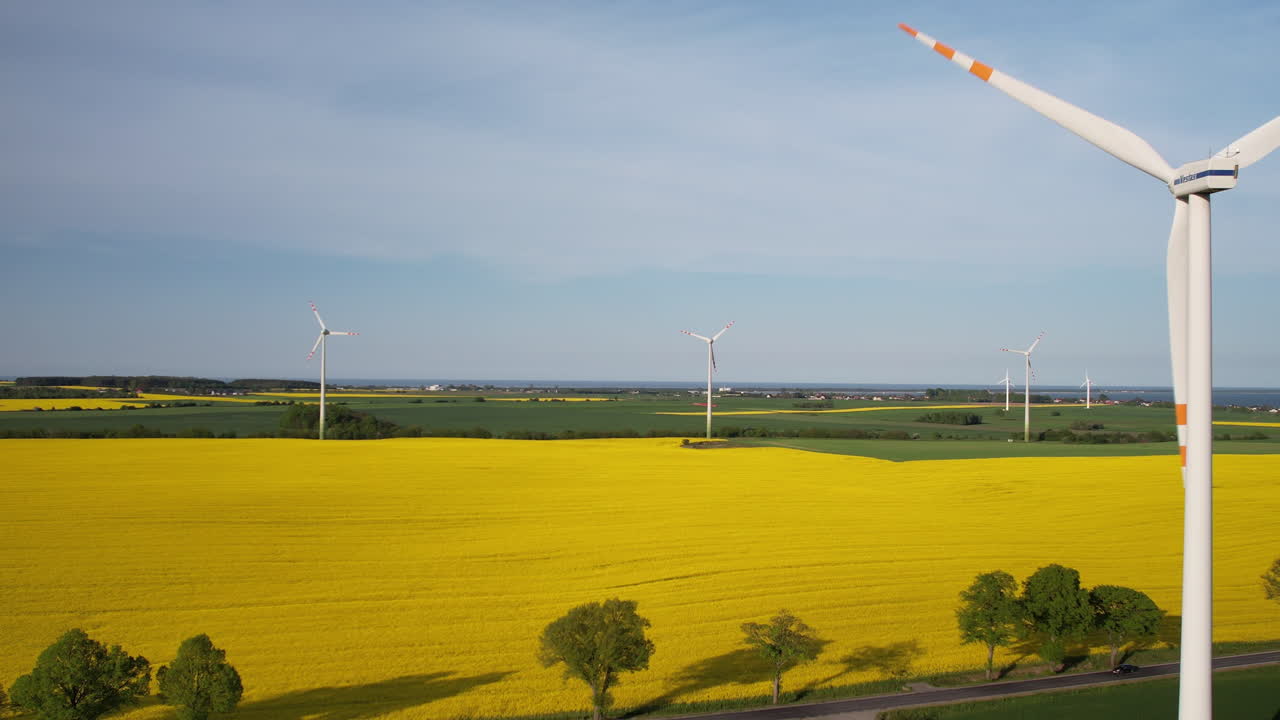 Aerial View of Wind Turbines in a Yellow Rapeseed Field