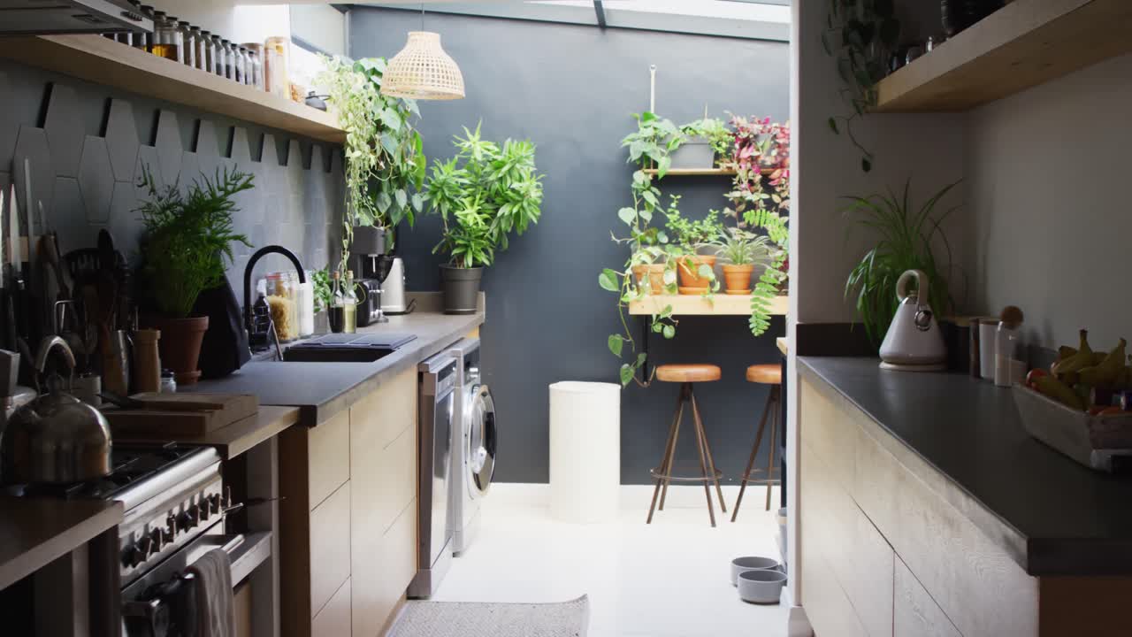 Vídeo de cozinha moderna inteligente, compacta e ensolarada com muitas plantas e paredes cinza-escuras.