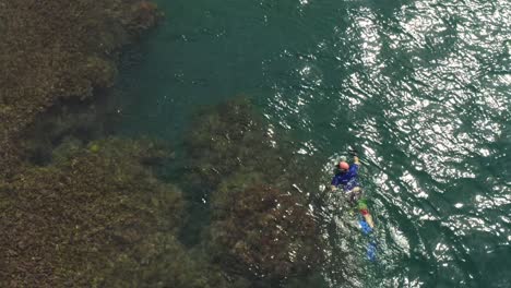 Scuba-Diver-Buscando-Bajo-El-Agua-Del-Océano-De-Arrecifes-De-Coral,-Panamá