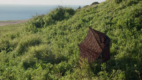 an old broken umbrella flapping in the wind on a green cliff