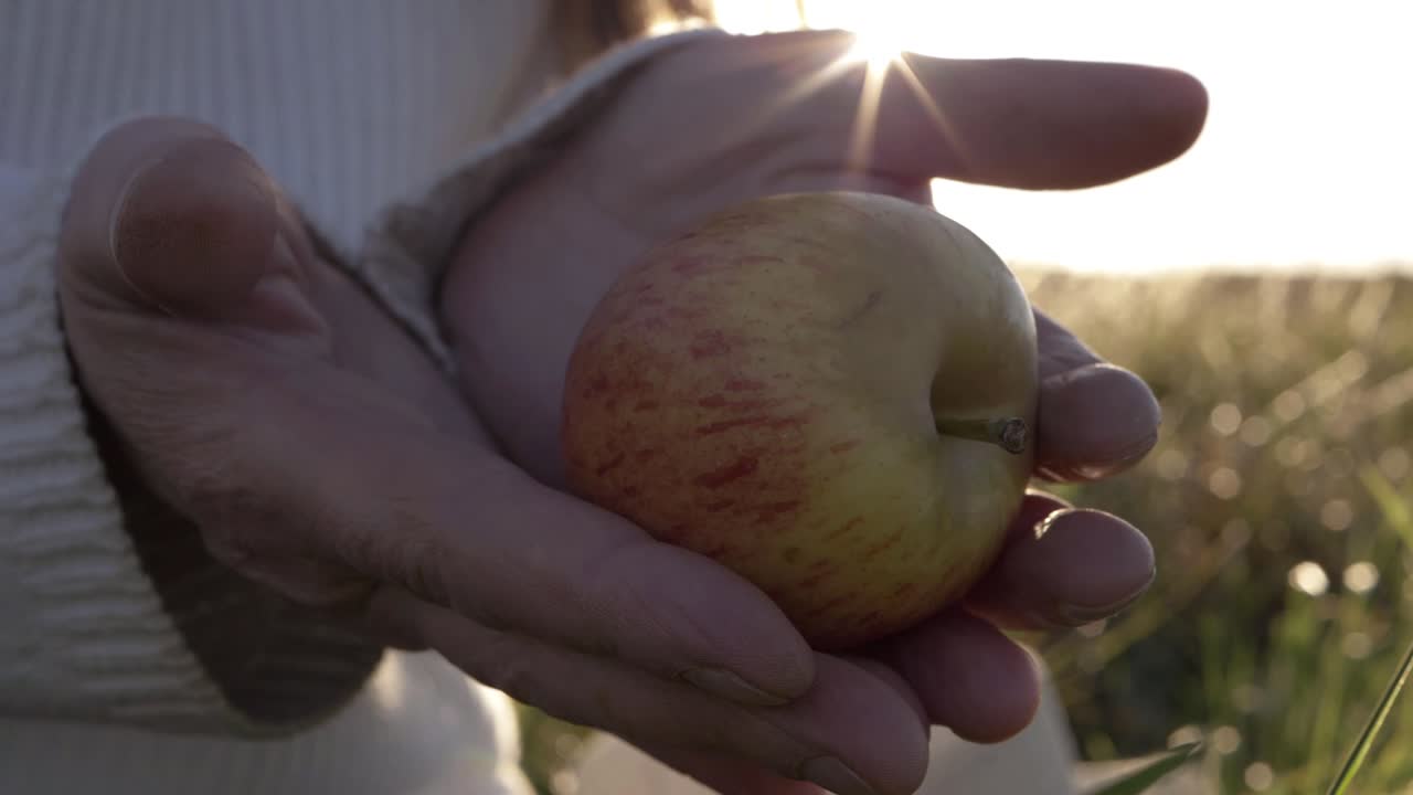 Hands holding out juicy red apple against sunlit background close up shot