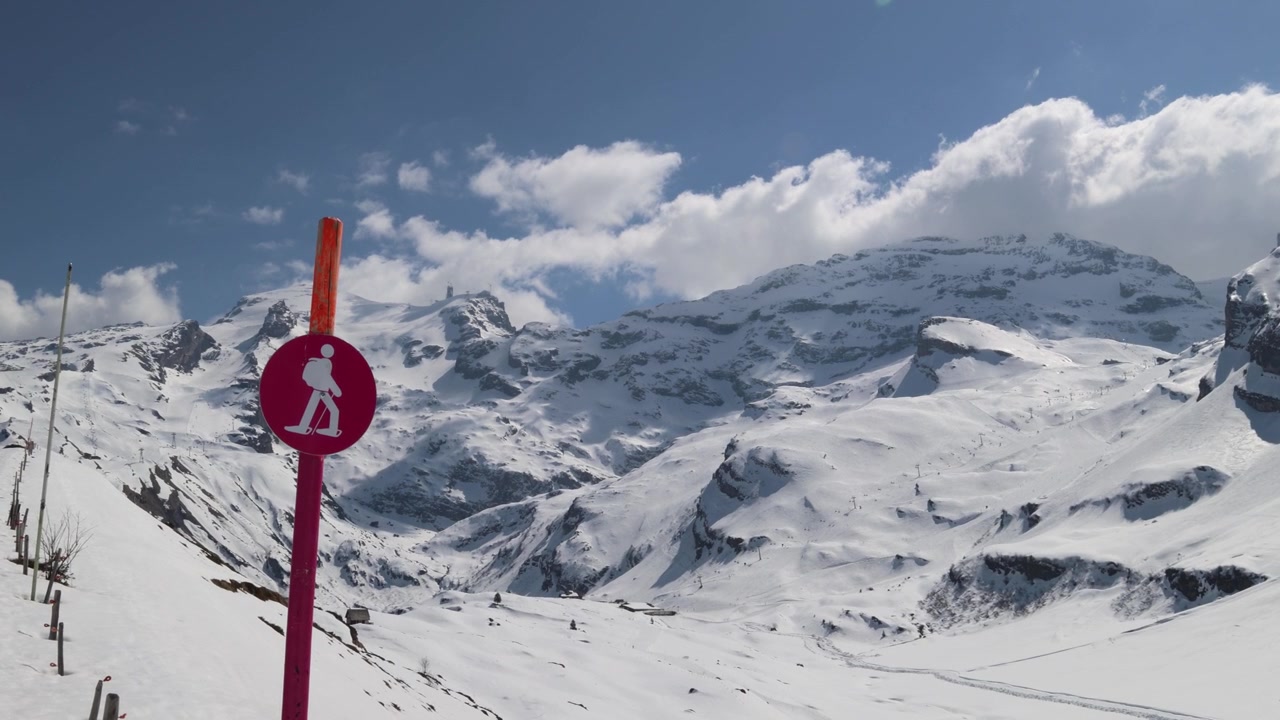 Kışlık alp dağ manzarasında kar ayakkabısı parkuru