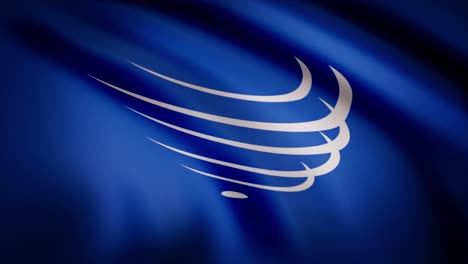 bandera de la organización de los estados americanos