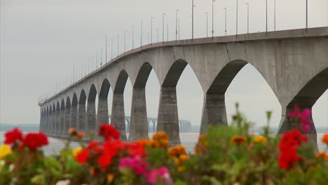 the confederation bridge with flowers in the foreground shot from pei, canada