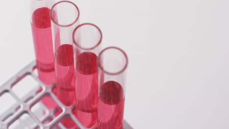 video of glass laboratory test tubes with red liquid and copy space on white background