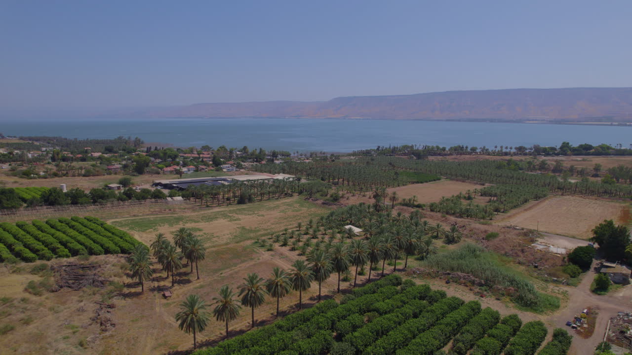 las plantaciones de dátiles del kibbutz kinneret frente al mar de galilea y las montañas del golán