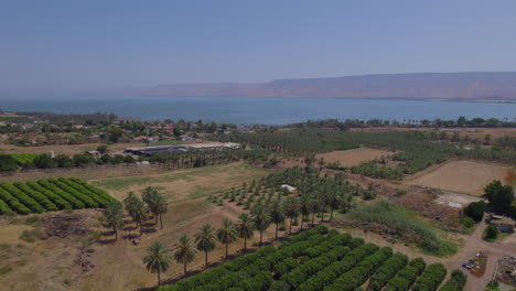 The-date-plantations-of-Kibbutz-Kinneret-facing-the-Sea-of-Galilee-and-the-Golan-Mountains