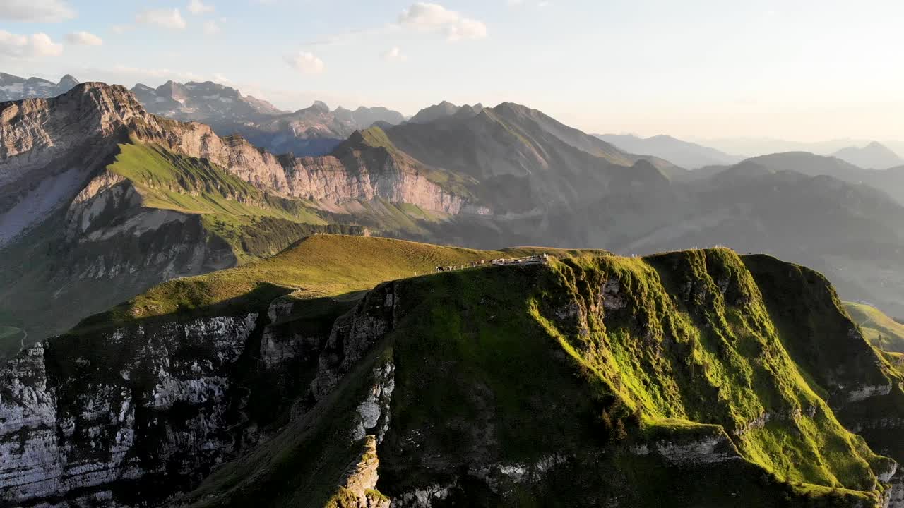 sobrevuelo aéreo sobre el pico niederbauen chulm en uri, suiza, con vistas a las vacas pastando en la resplandeciente hierba alpina en una tarde de verano en los alpes suizos