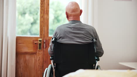 espalda, silla de ruedas y vista con un hombre de edad avanzada por