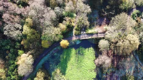 aerial downwards shot over the lakes and bridge at otterhead lakes south west england