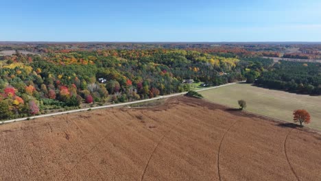 beautiful michigan fall colors and a corn field captured from an aerial view moving forward slowly.