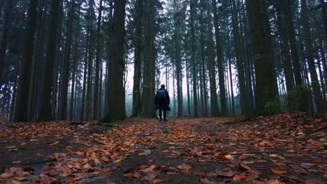 Man-walks-through-an-autumn-forest-along-a-path-lined-with-dry,-colorful-leaves