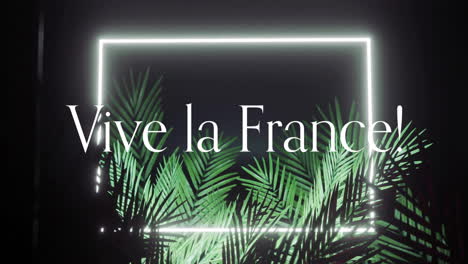 vive la france! text animation over glowing neon frame and green palm leaves